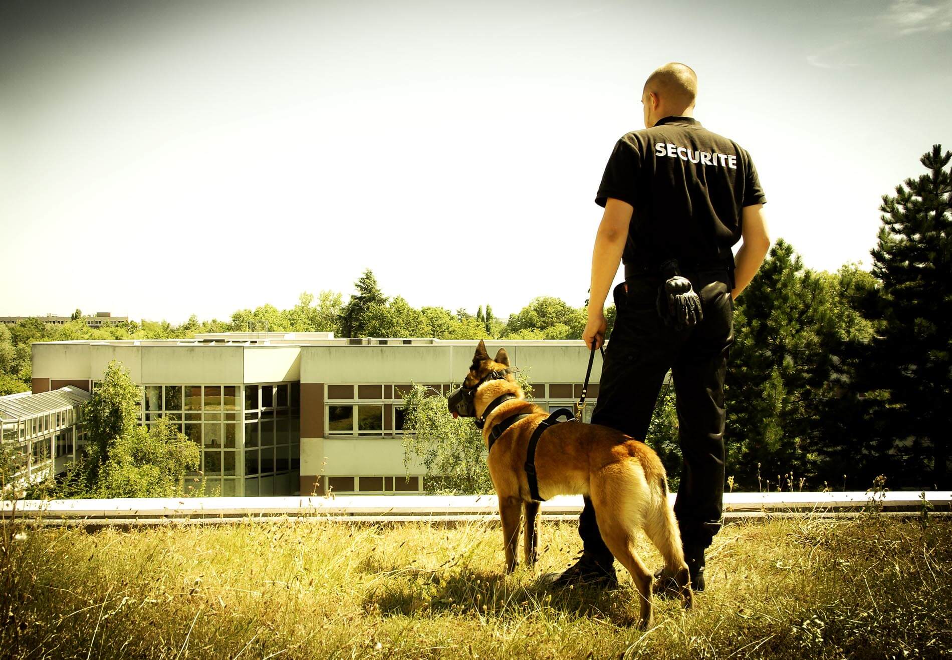 société de guardiennage